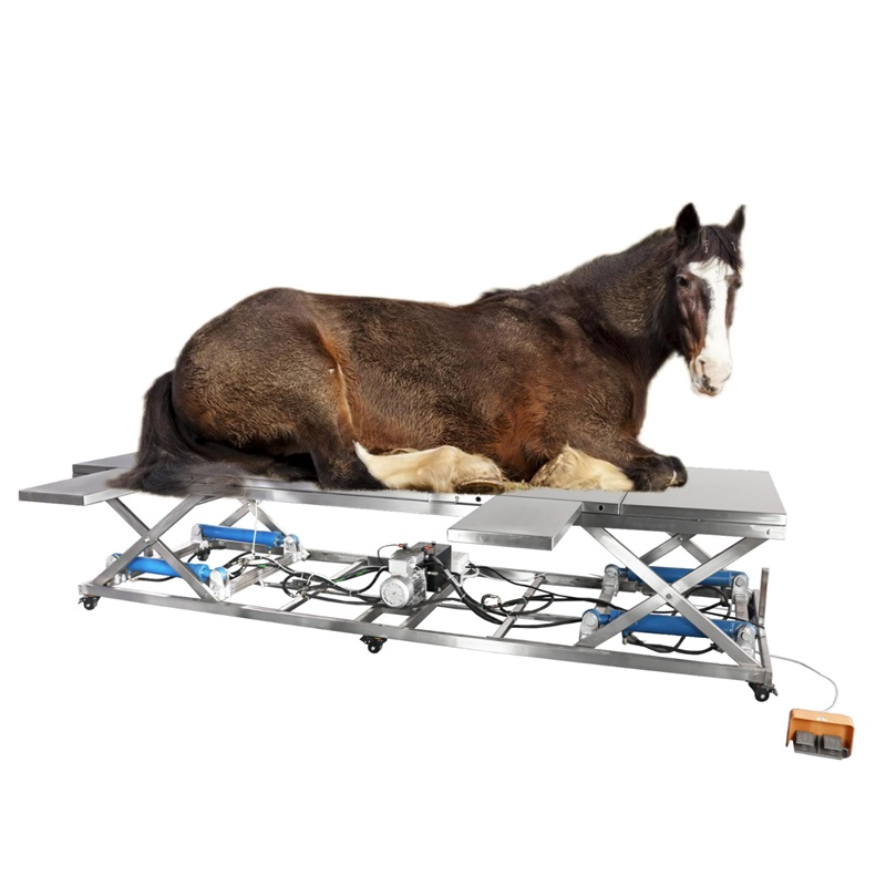 VOT-05 Electric-hydraulic Veterinary Operating Table