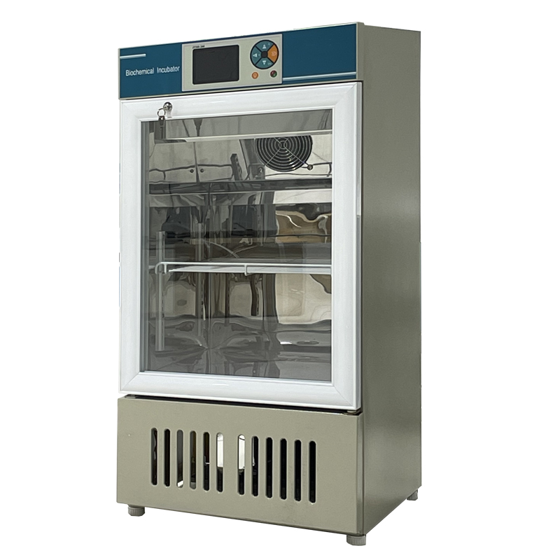 V-SPX-50B/80B Biochemical Incubator